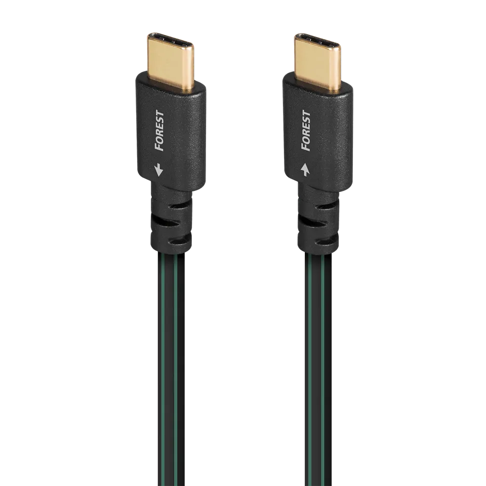AudioQuest Forest cavo USB-C a USB-C audio argento DAC