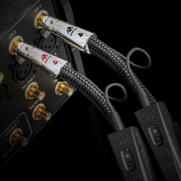AudioQuest Dragon Cavo RCA Argento PSS RCA-RCA DBS 72V