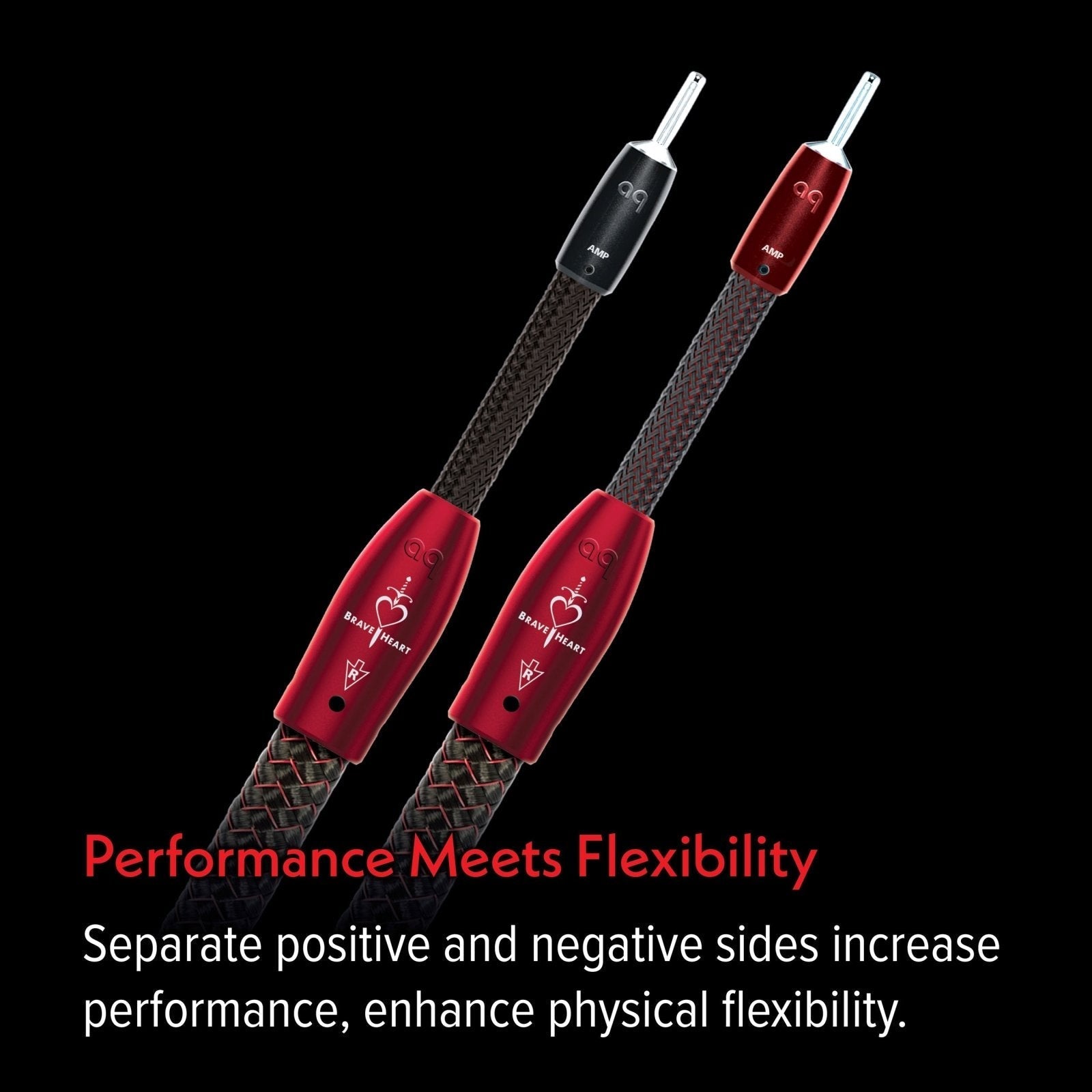 AudioQuest Brave Heart Full-Range cavo diffusori PSC+