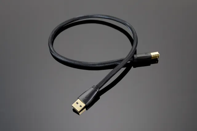 Transparent USB Audio Cavo USB 1 m per DAC Hi-Fi