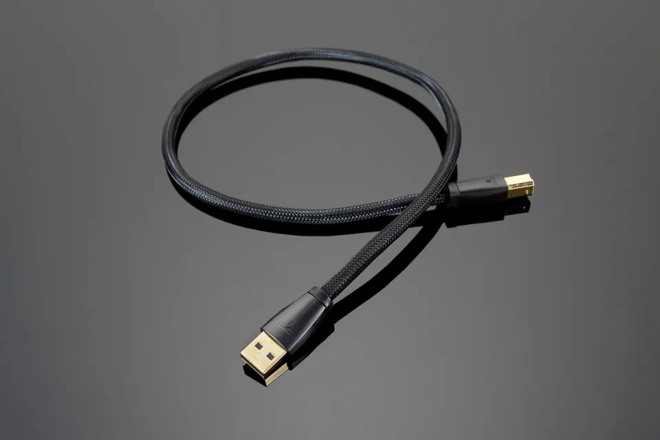 Transparent USB Audio Cavo USB 1 m per DAC Hi-Fi