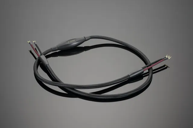 Transparent SUPER cavo diffusori 8 piedi coppia