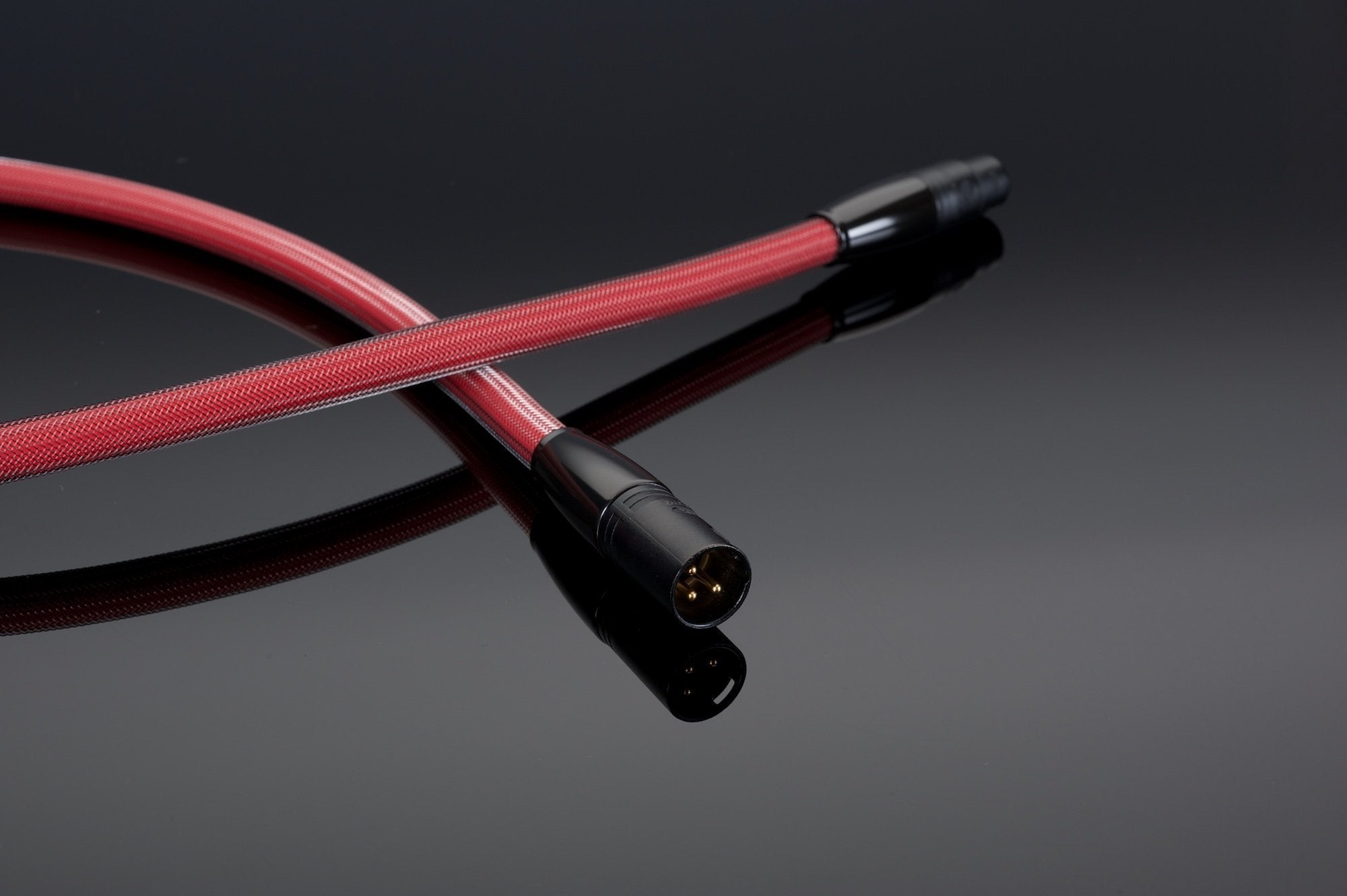 Transparent Reference cavo digitale AES/EBU 110 Ohm XLR