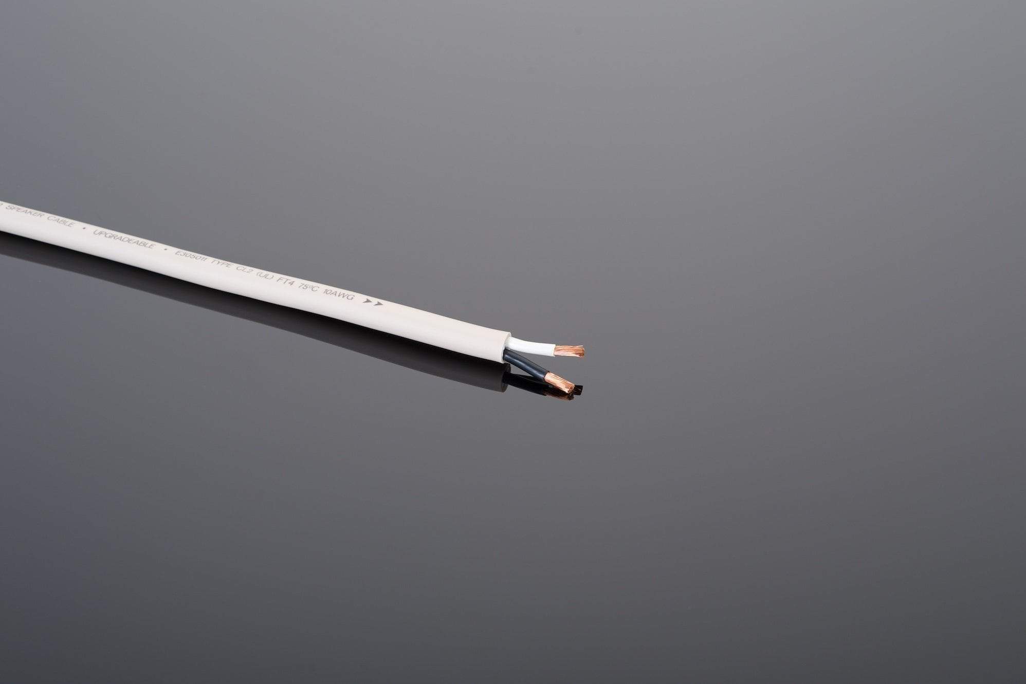 Transparent Custom/DIY 10-2 cavo diffusori 10 piedi