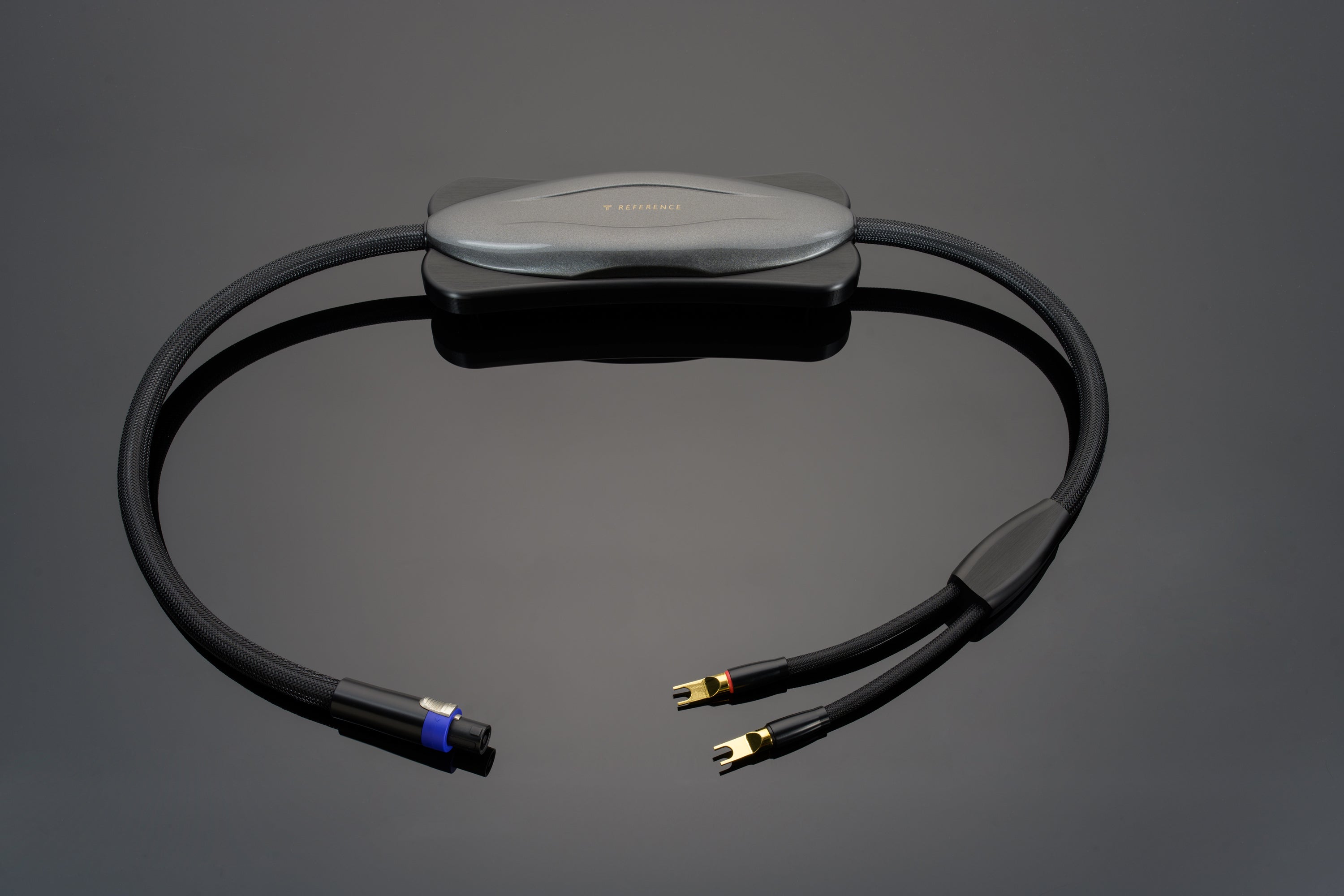 Transparent Reference rete Brick speaker The Wall rame