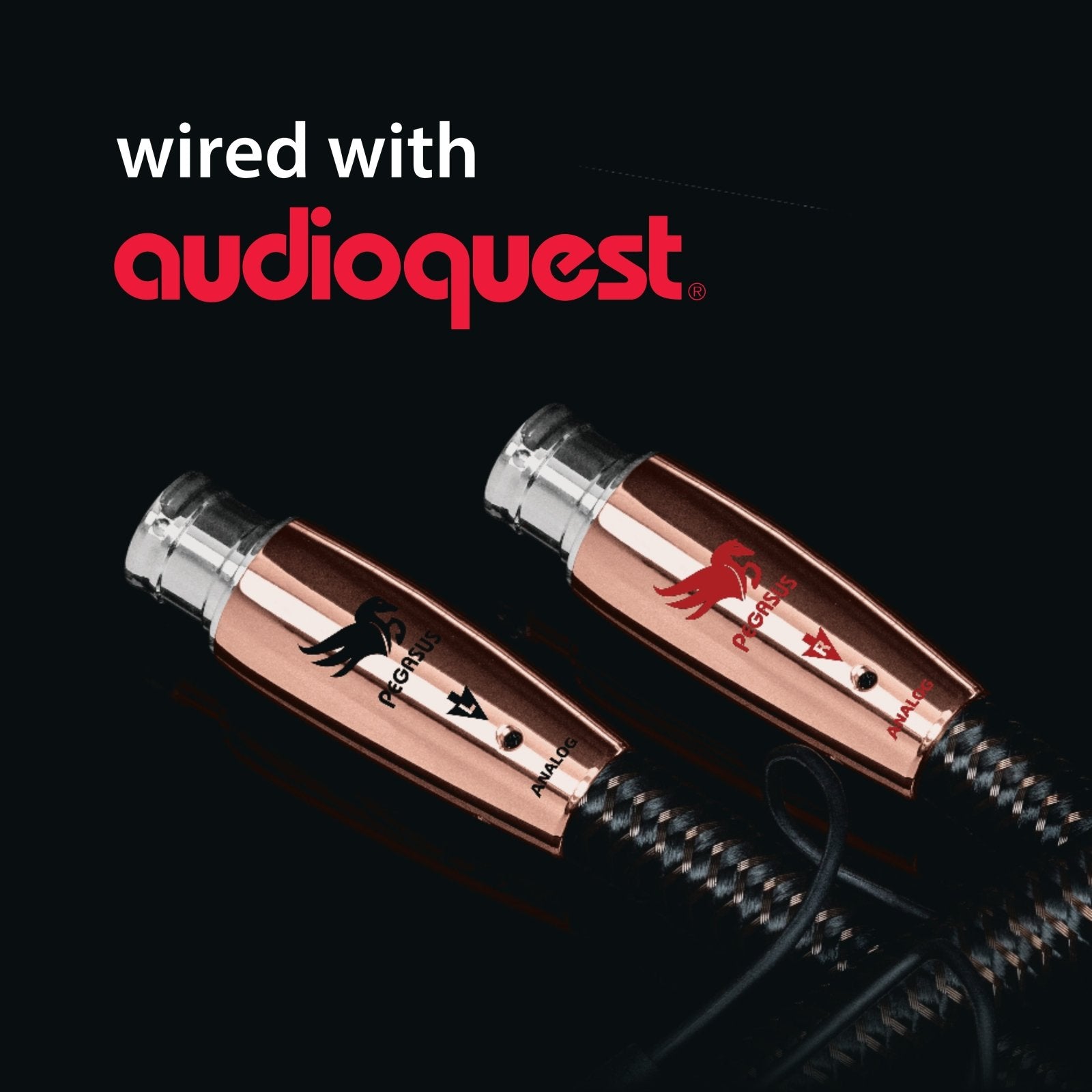 Audioquest Accessories Cartello Wired PVC da Esposizione