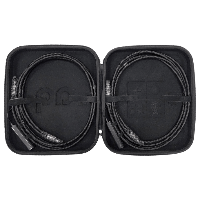 AudioQuest Dragon Cavo RCA Argento PSS RCA-RCA DBS 72V