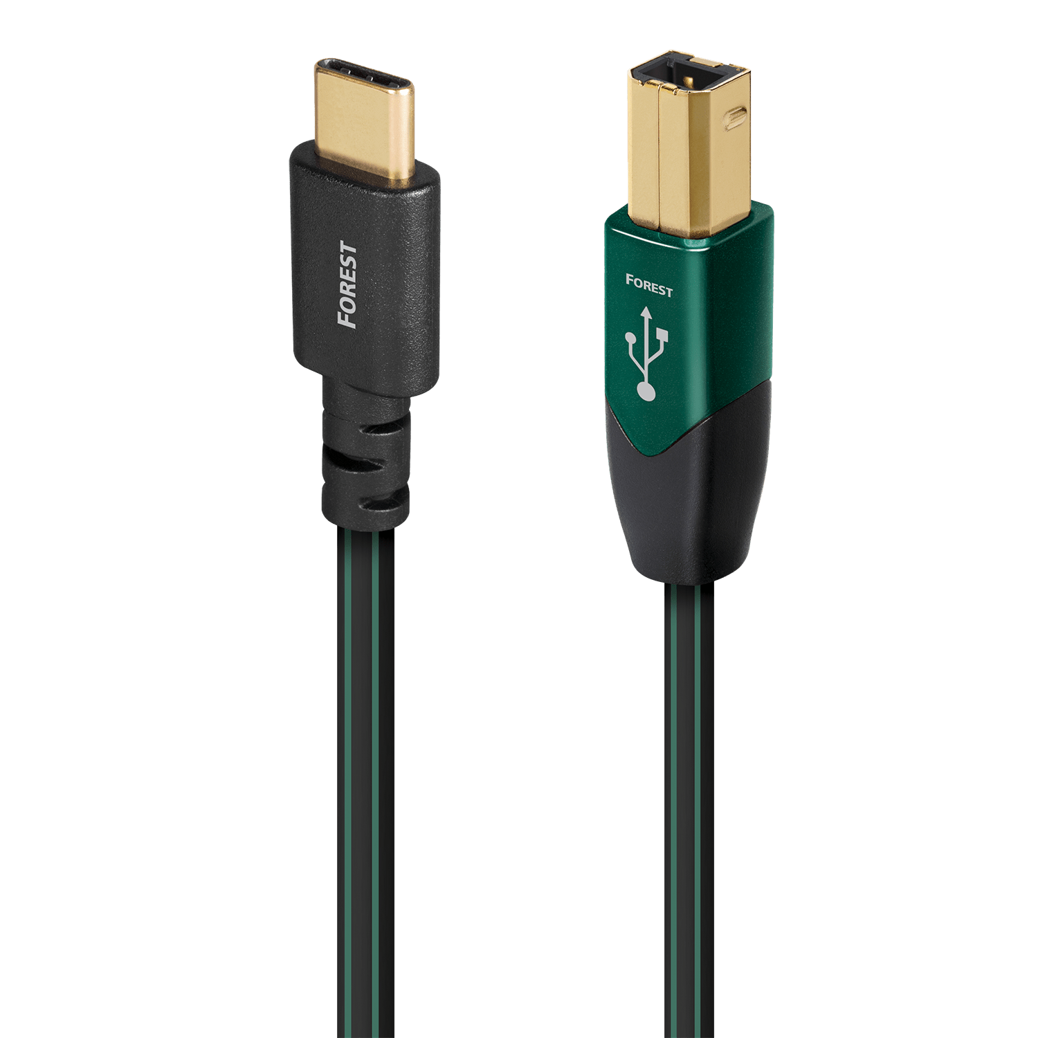 AudioQuest Forest cavo USB-C a USB-B argento