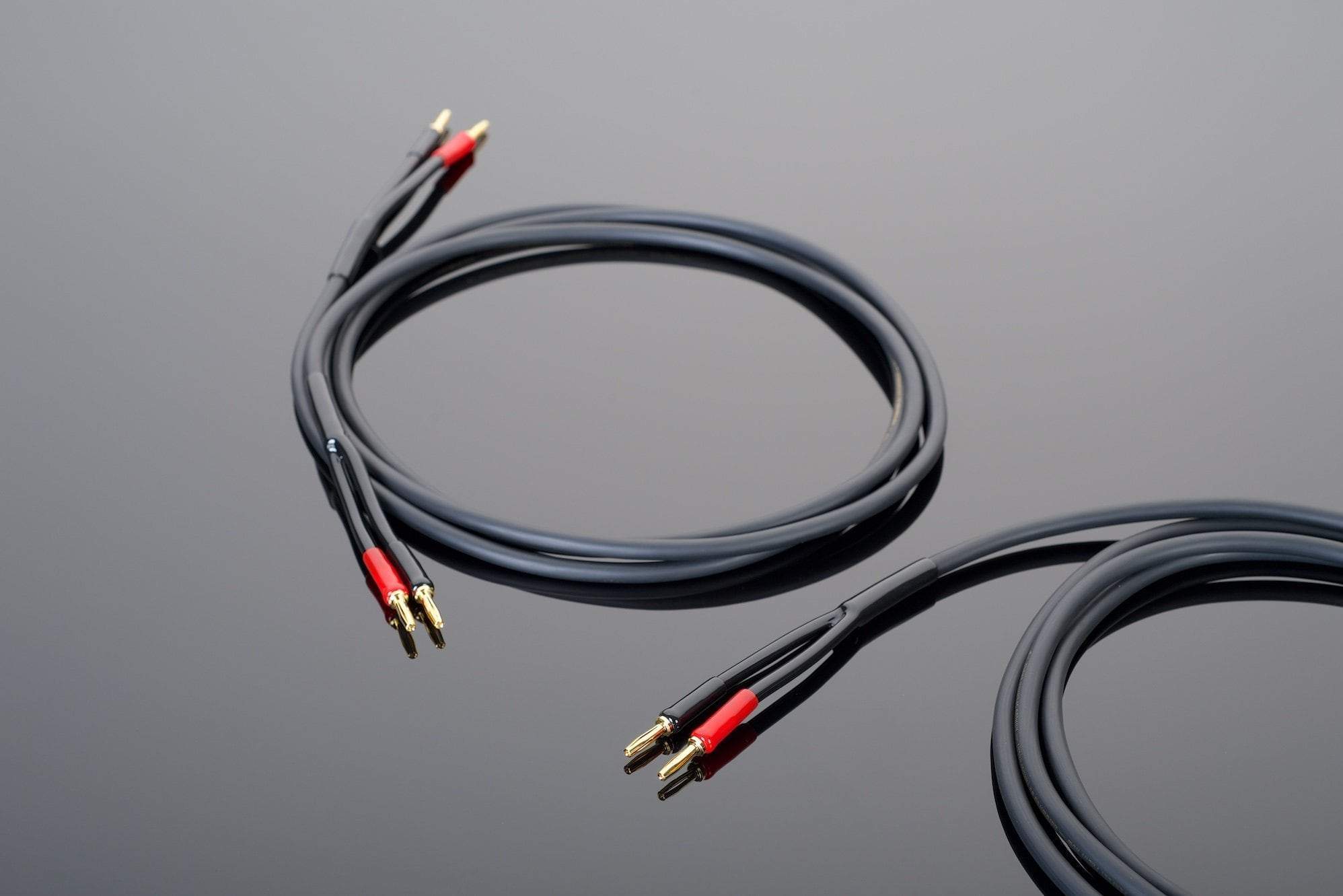 Transparent Hardwired Cavo Diffusori Coppia 3 m Basic