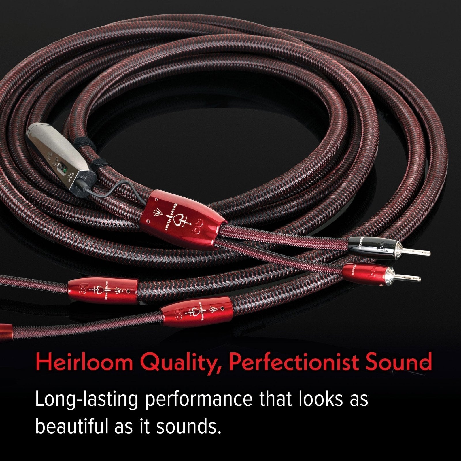 AudioQuest Brave Heart Full-Range cavo diffusori PSC+