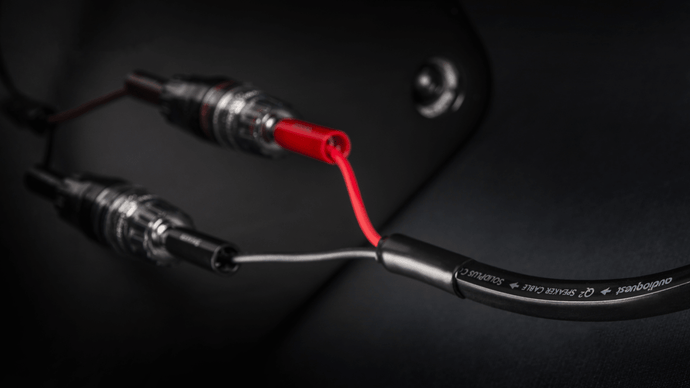 AudioQuest Q2 Full-Range cavo casse rame LGC nero