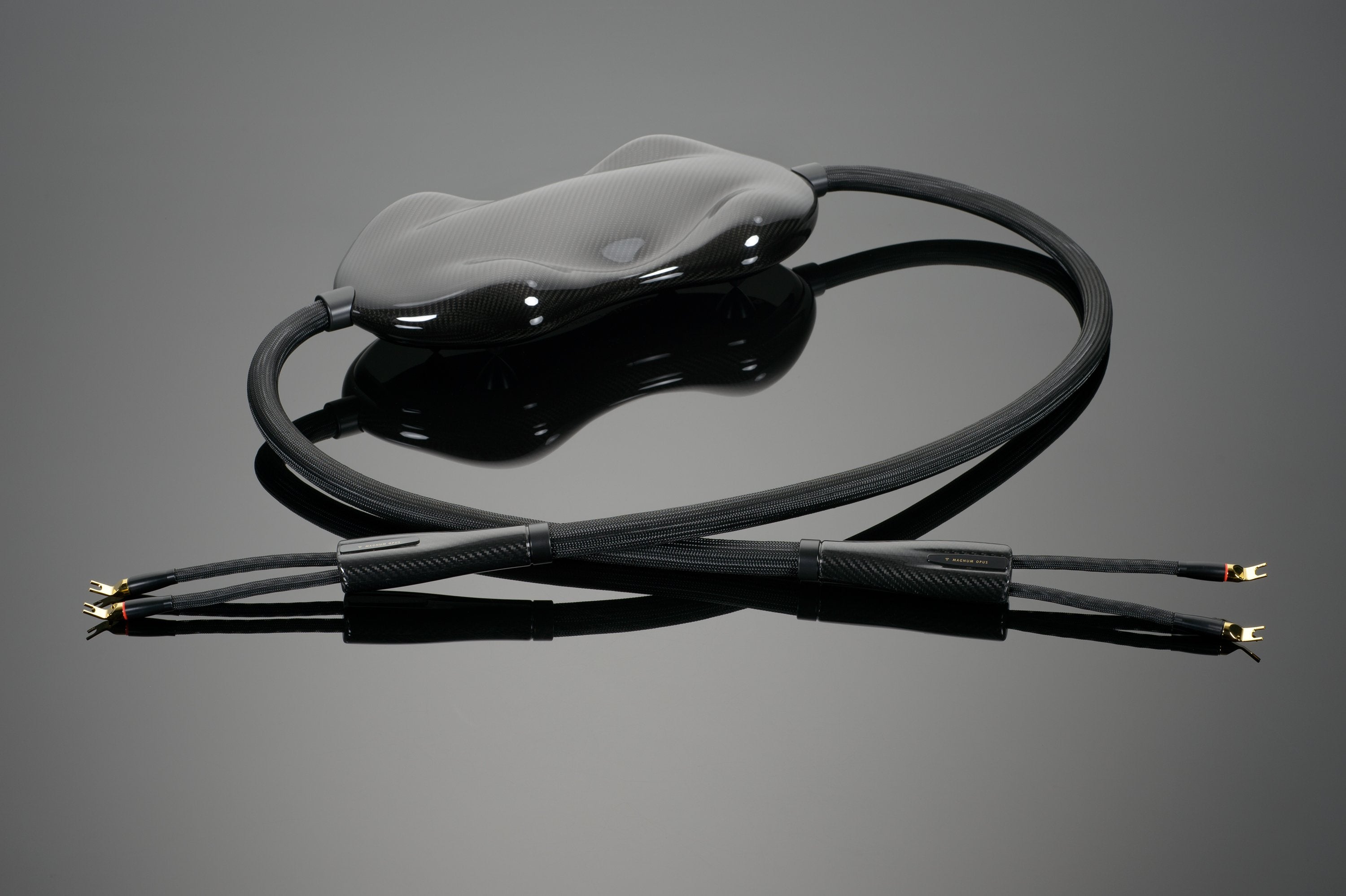 Transparent MAGNUM OPUS Cavo Diffusori Alta Gamma