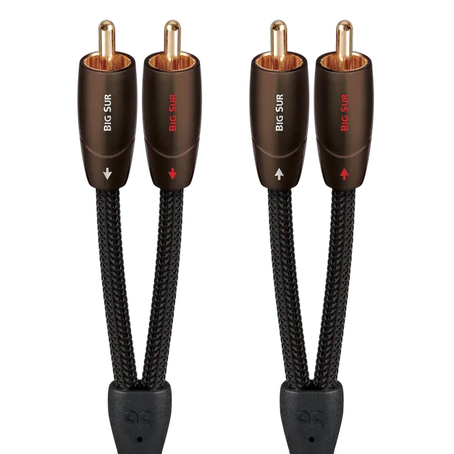 AudioQuest Big Sur cavo RCA-RCA 1 m rame PSC+ analogico
