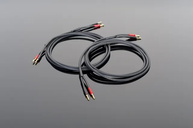 Transparent Hardwired Cavo Diffusori Coppia 3 m Basic