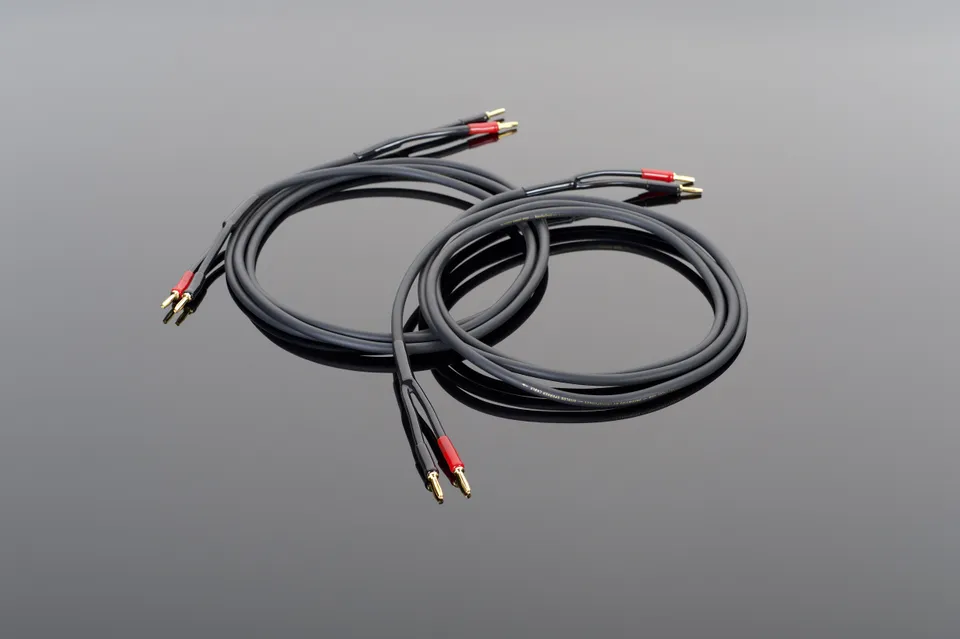 Transparent Hardwired Cavo Diffusori Coppia 3 m Basic