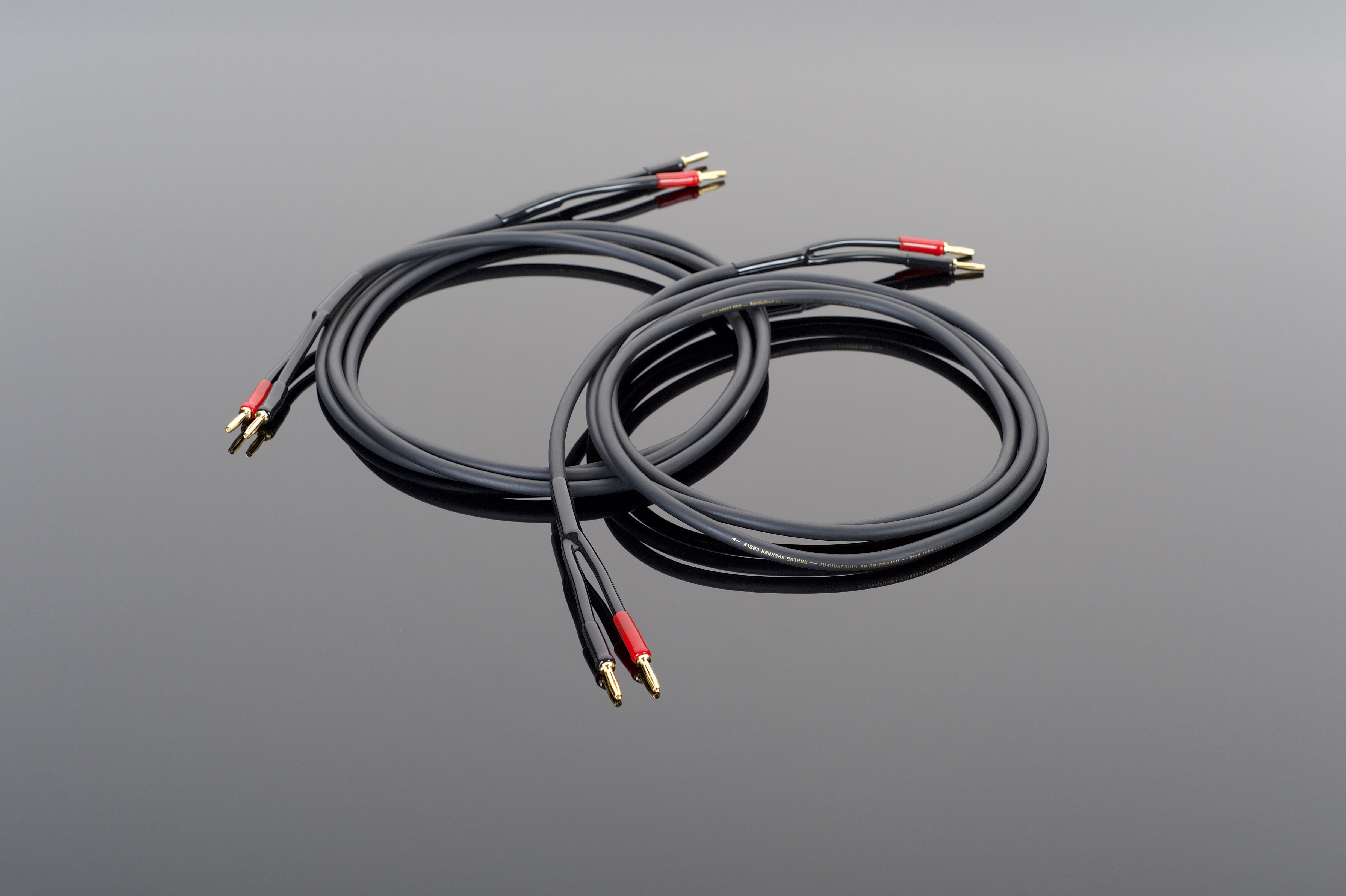 Transparent Hardwired Cavo Diffusori Coppia 3 m Basic